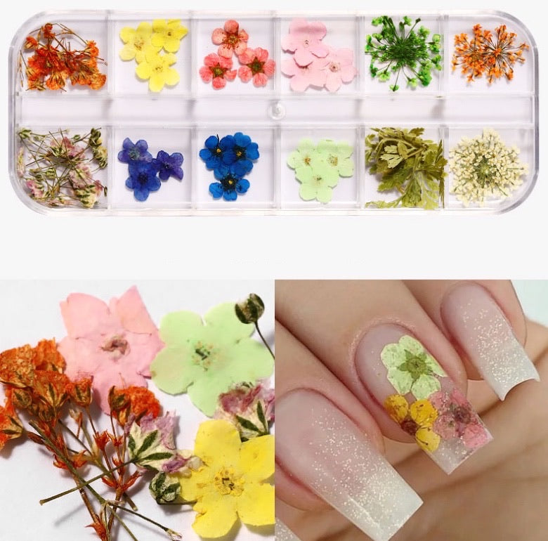 12 Grids Dried Flower DIY Stickers Decorations Manicure Nail Accessories